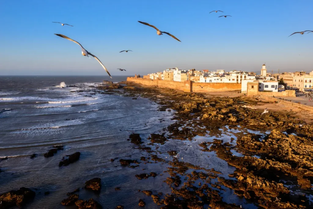 Essaouira Day Trip from Marrakech